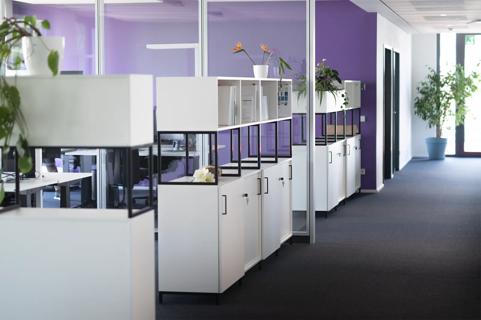 RYZE Digital — Unternehmensfotos — Fotografie
